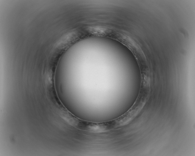 X0000115700561200911121407