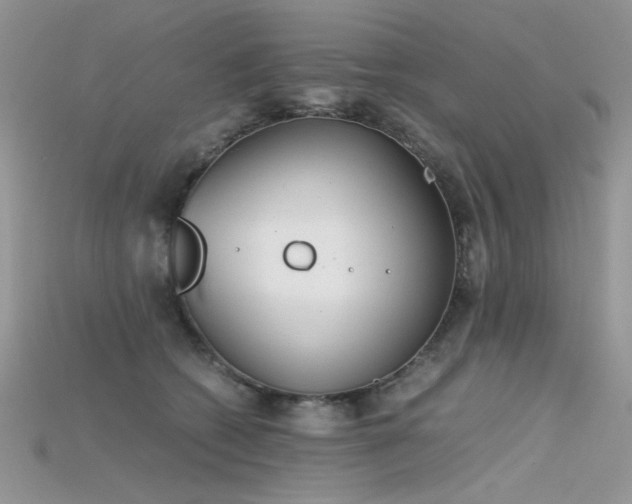 X0000115700562200911121407