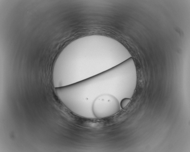 X0000115700563200911121407