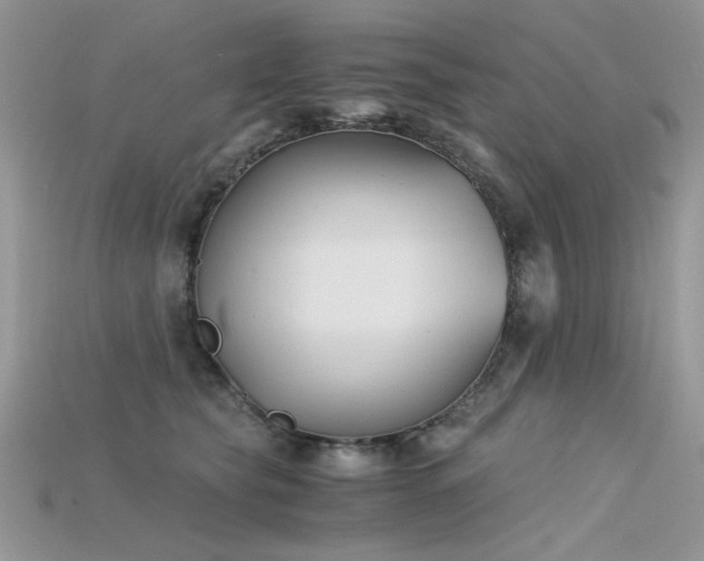 X0000115700565200911121407