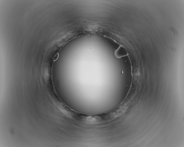 X0000115700566200911121407