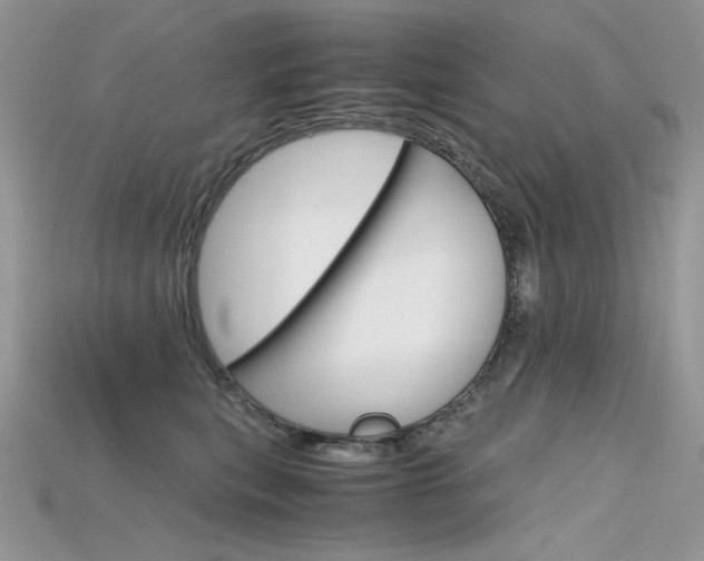 X0000115700567200911121407