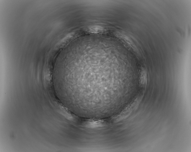 X0000115700569200911121407