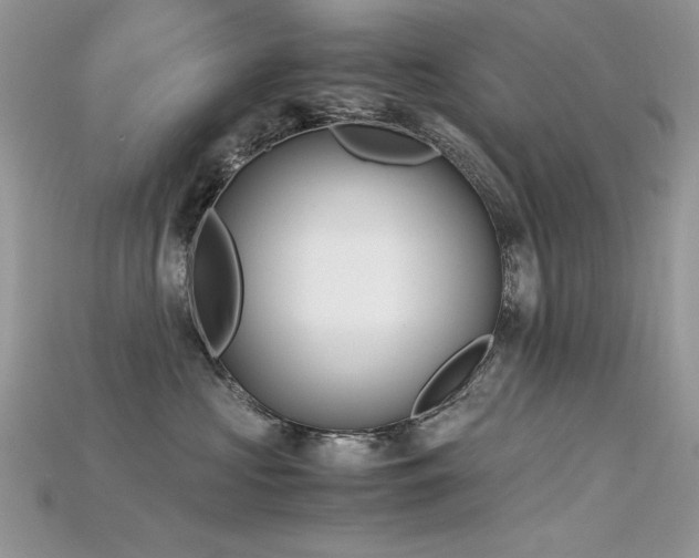 X0000115700573200911121407