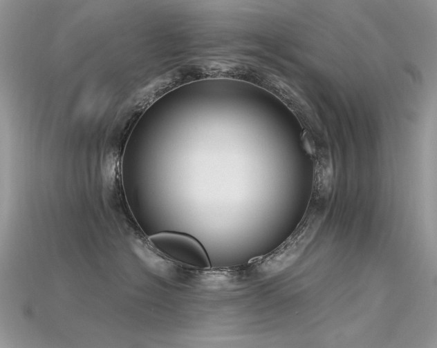 X0000115700574200911121407