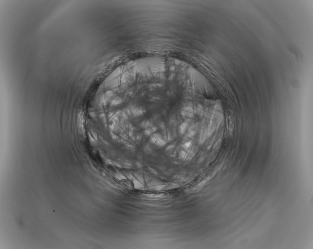 X0000115700575200911121407
