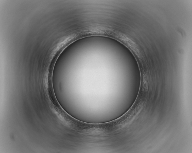 X0000115700578200911121406