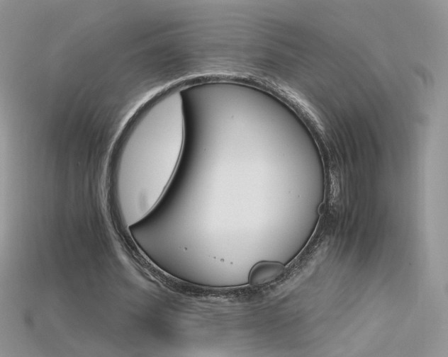 X0000115700580200911121406