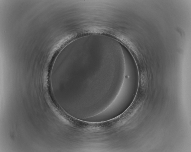 X0000115700581200911121406