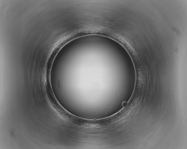 X0000115700582200911121406