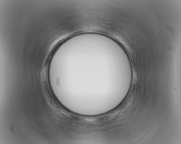 X0000115700583200911121406