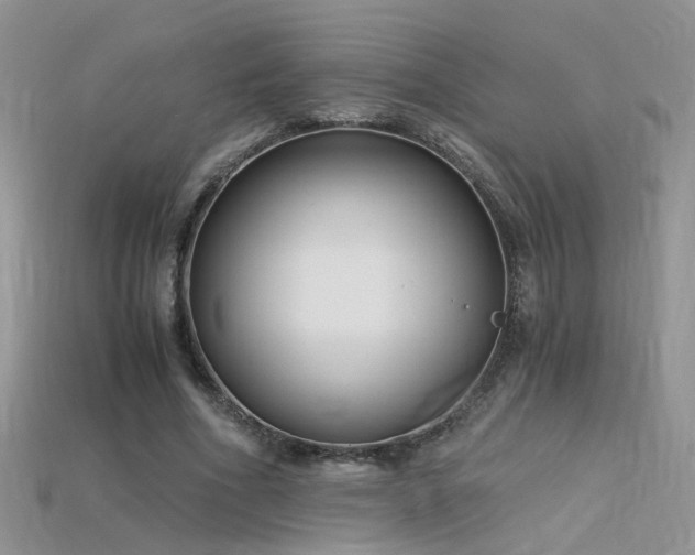 X0000115700586200911121406