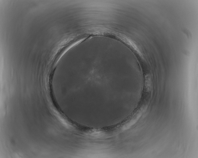 X0000115700589200911121406