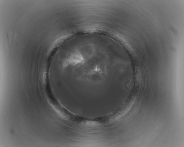 X0000115700590200911121406