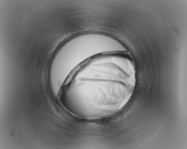 X0000115700592200911121406