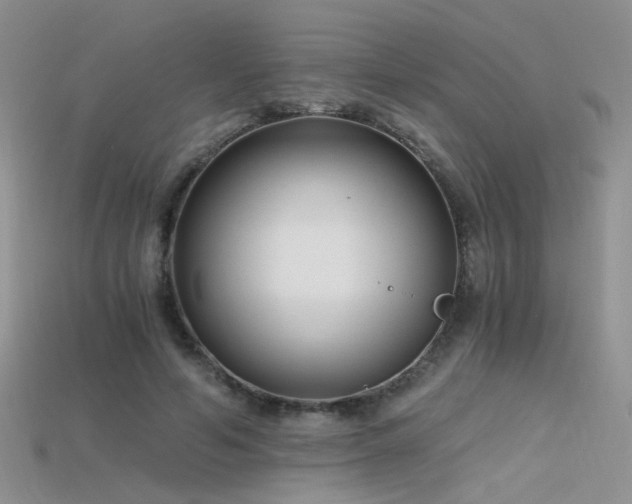 X0000115700594200911121406