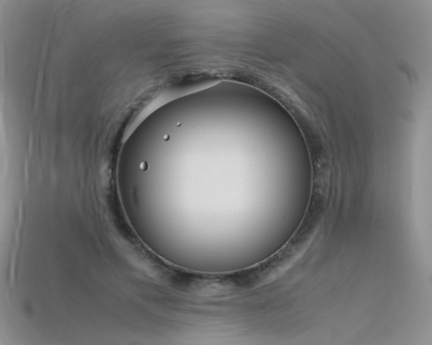 X0000115700597200911121406