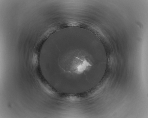 X0000115700598200911121406