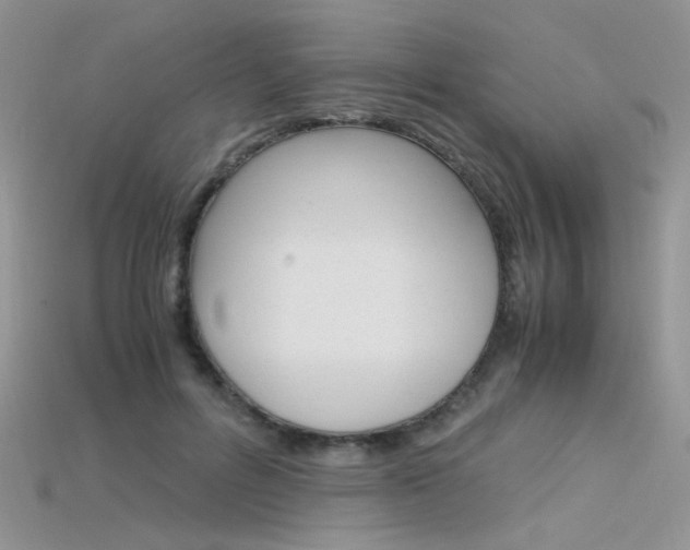 X0000115700600200911121406