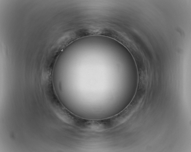 X0000115700601200911121406