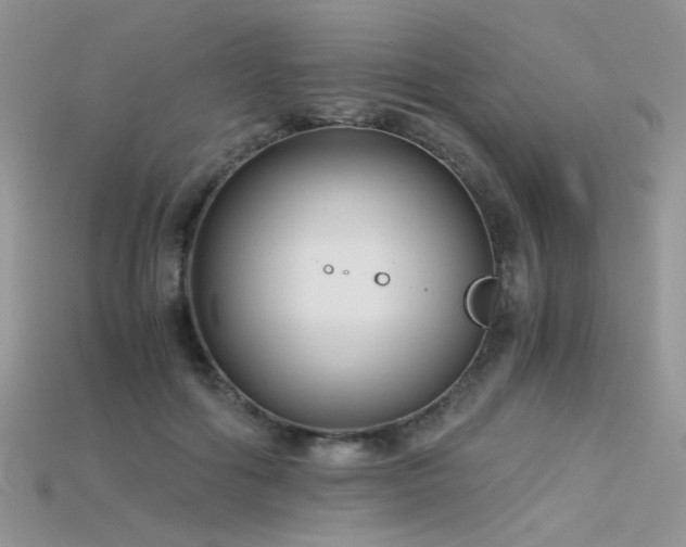 X0000115700602200911121406