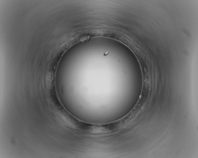 X0000115700605200911121406