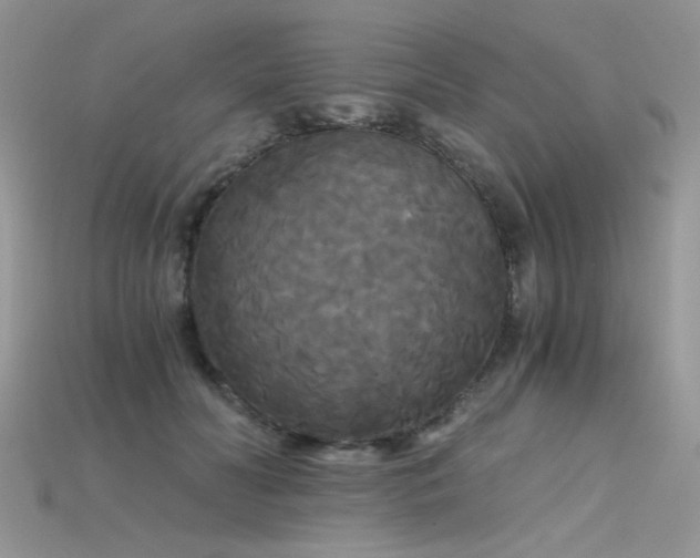 X0000115700606200911121406