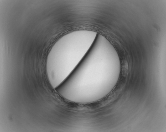 X0000115700608200911121406