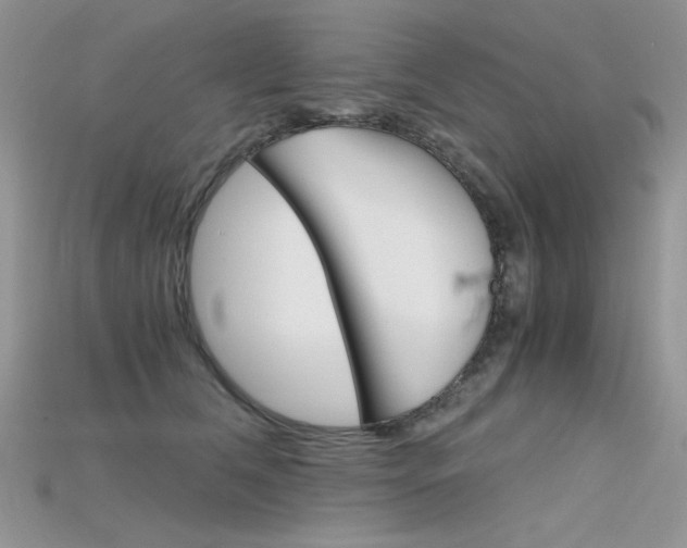 X0000115700612200911121406