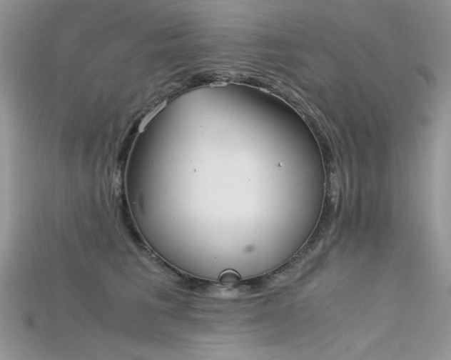 X0000115700613200911121406