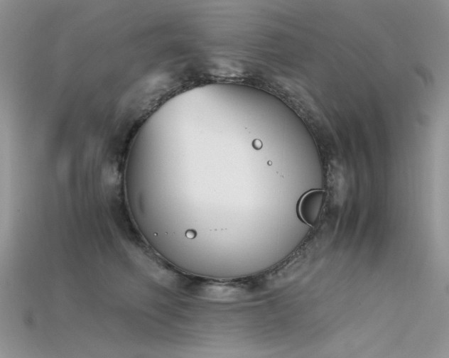 X0000115700614200911121406
