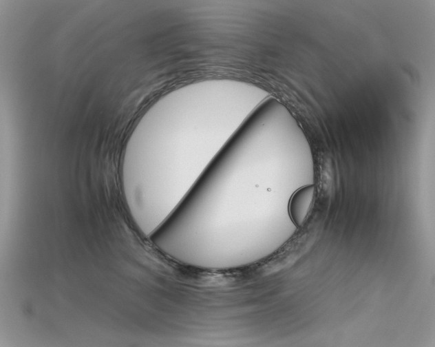 X0000115700616200911121406