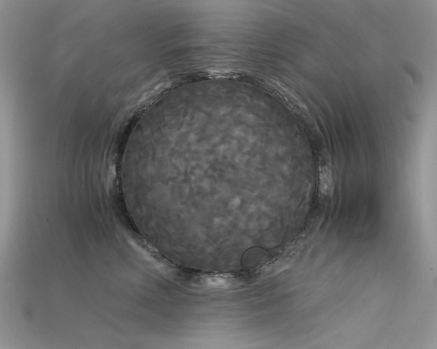 X0000115700618200911121406