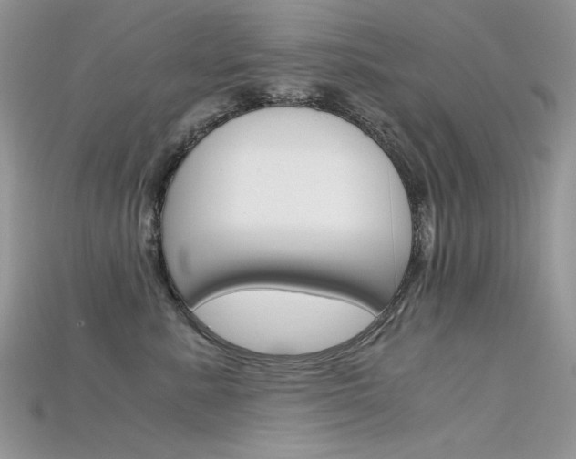 X0000115700619200911121406
