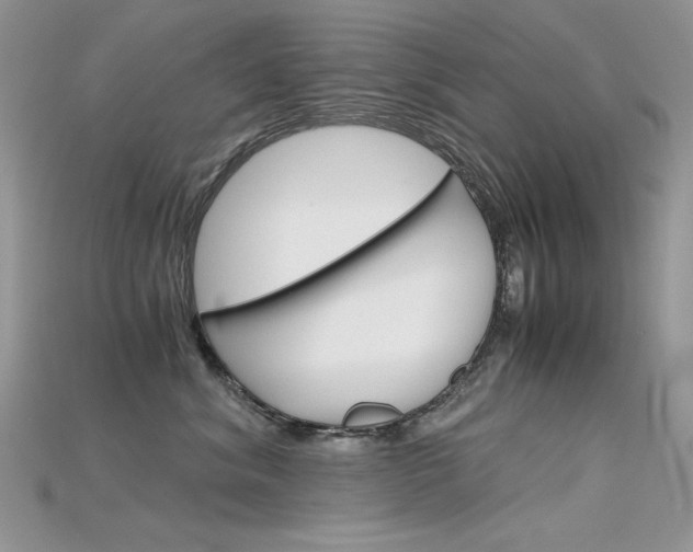 X0000115700620200911121406