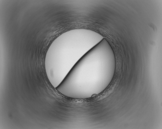 X0000115700624200911121406