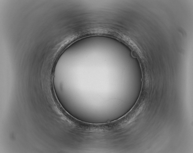 X0000115700625200911121405