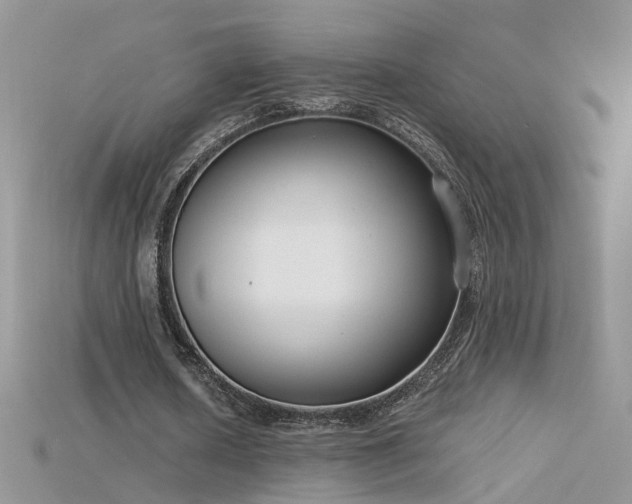 X0000115700626200911121405
