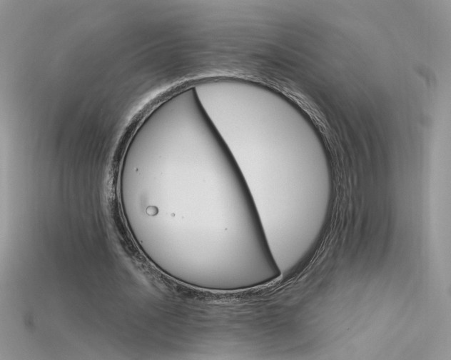 X0000115700628200911121405