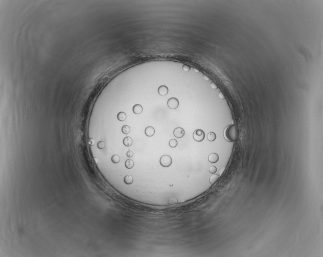 X0000115700635200911121405