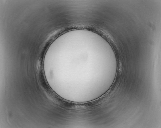 X0000115700636200911121405