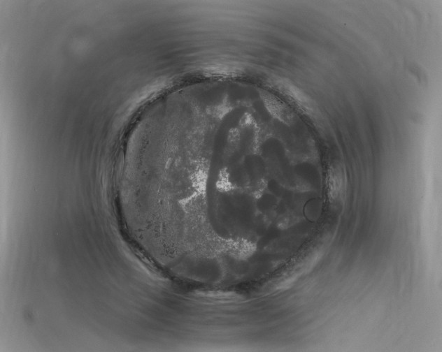 X0000115700637200911121405