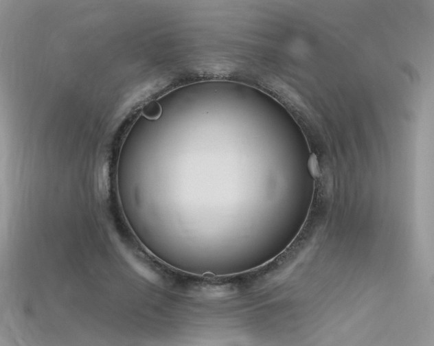 X0000115700638200911121405
