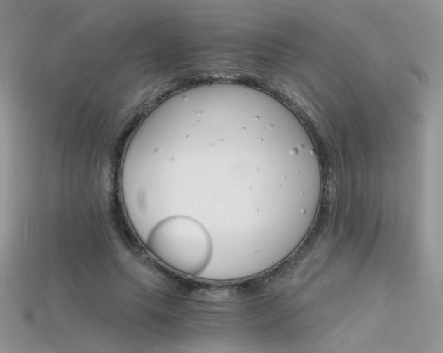 X0000115700639200911121405