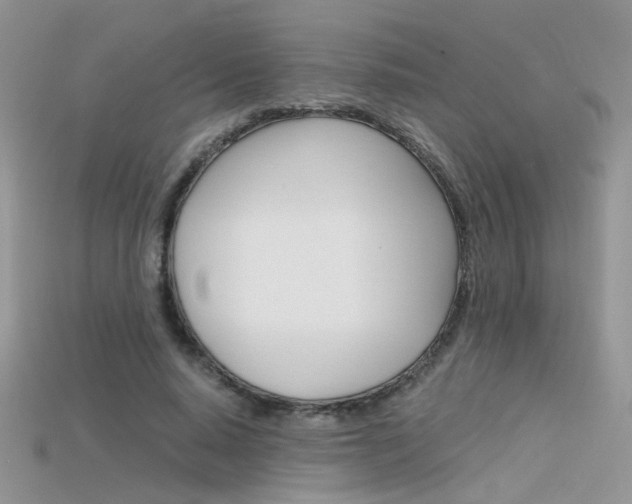 X0000115700640200911121405