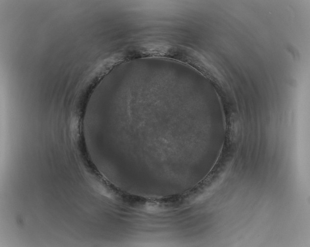 X0000115700641200911121405