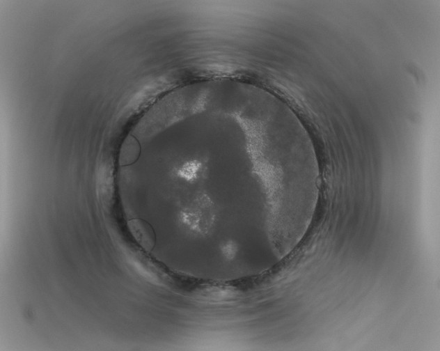 X0000115700642200911121405
