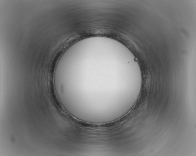 X0000115700643200911121405