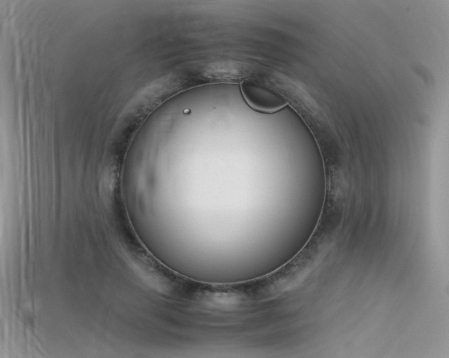 X0000115700645200911121405