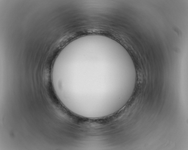 X0000115700648200911121405